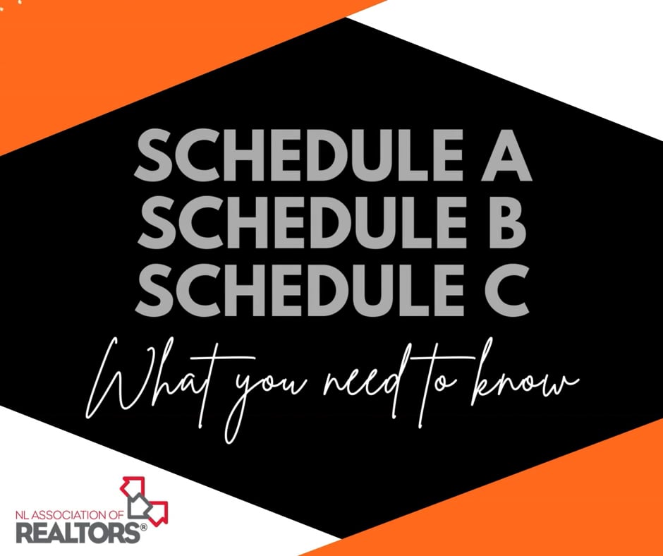 Schedules "A", "B" and "C" -For Resource Site thumbnail